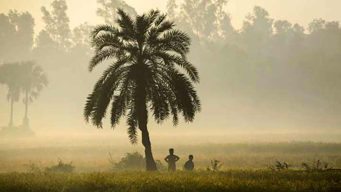 বৃষ্টি হতে পারে আজও, বাড়বে শীত